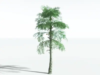 EVERYPlant Alethopteris Seed Fern 2 --12 Models-- 3D model