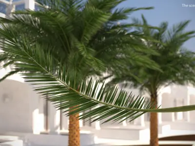 Tropical Leafs Collection 3D model