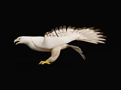 White Morph Gyrfalcon Bird Low-poly 3D model