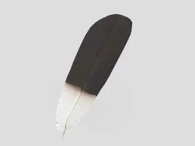 Feather 2 Low-poly 3D model