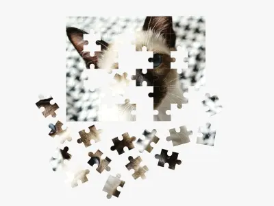 48-piece jigsaw puzzle 3 3D model