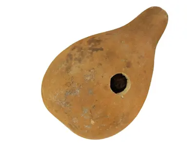 Gourd Birdhouse Raw Scanned 3D model