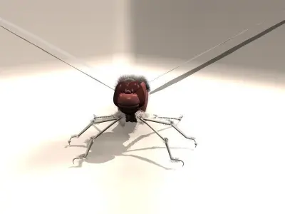 Insect with long tail Low-poly 3D model