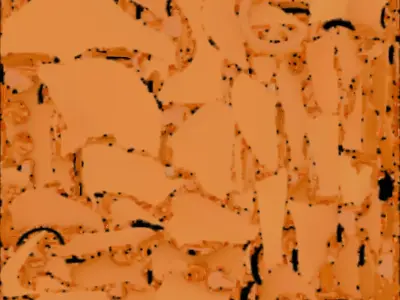 Starfish Camera Design 3D Model Low-poly 3D model