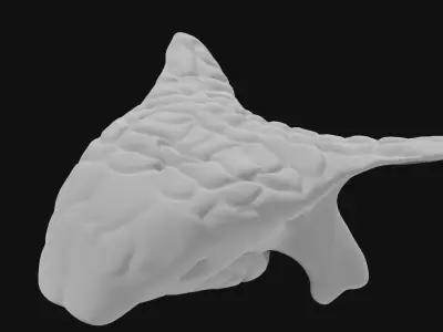 Ankylosaurus skull 3D model