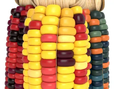 Flint Corn 3D model