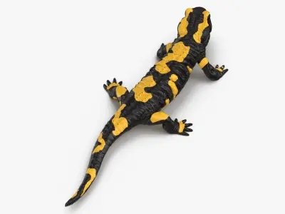 Salamander Standing 3D model