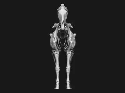 Horse skeleton 3D model