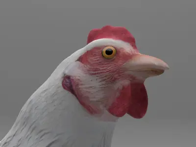 Chicken Low-poly 3D model