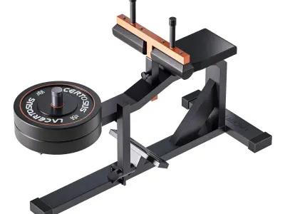 Seated Calf Machine Plate Loaded 3D model