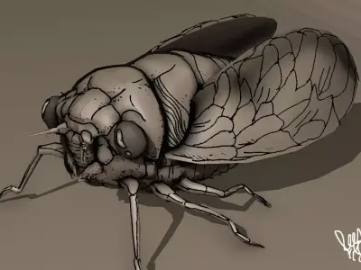grease pencil cicada bug 3D model