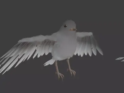 Small Bird 3D model