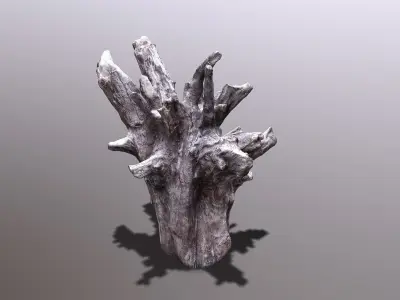 Bark tree part Low-poly 3D model