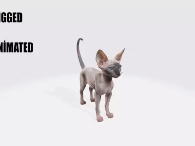 Sphynx Cat Model Animated and Rigged 3D model