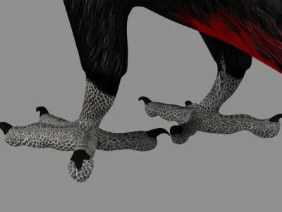 Red breasted toucan 3D model