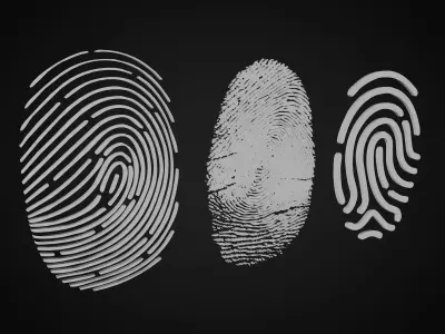 fingerprint 3D model