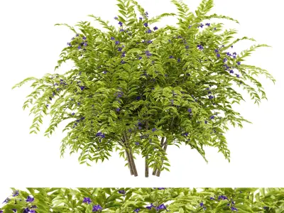 Flower Bush Plant Free 3D model