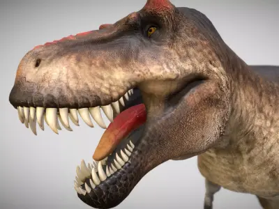 Tyrannosaurus rex Scotty Low-poly 3D model