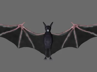 Bat with wings 3 Low-poly 3D model
