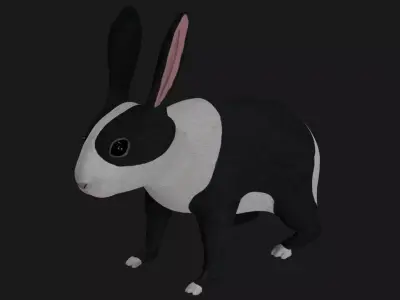 Black and white Rabbit low poly rigged  Low-poly 3D model