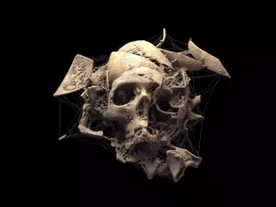 Broken Skull with Spider webs 2 3D model