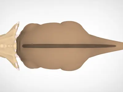 Mr Thicknose 3D model