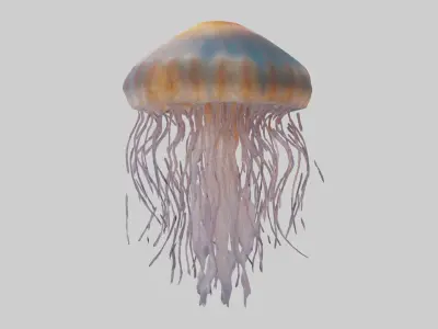 Lions Mane Jellyfish drifting model Low-poly 3D model