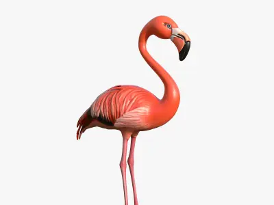 Flamingo Low-poly 3D model