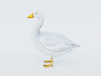 Goose Free 3D model