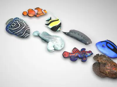 Fishes Set 3D model