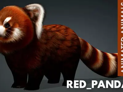 Red Panda A2 Free 3D model