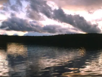 Big Blue Whale Free 3D model