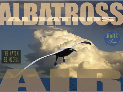 Albatross seagull Low-poly 3D model