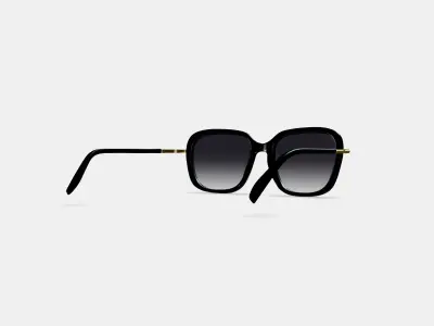 Safia Sunglasses in Jet Black with Polished Gold 3D model
