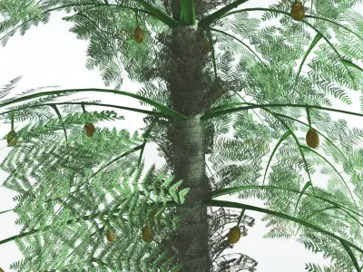 EVERYPlant Alethopteris Seed Fern 3 --12 Models-- 3D model