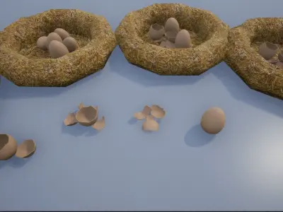 Birdnests and Eggs hatched and remains Low-poly 3D model
