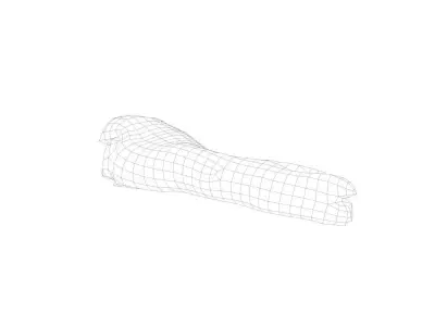 Raw Pig Foot - 3D Scan Low-poly 3D model