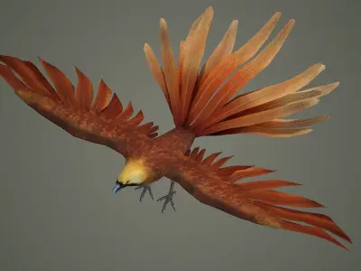 pheasant bird feather wing game hunt hunting wild forest  3D model