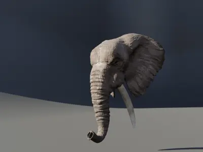 Elephant 3D head with tusks Free 3D model