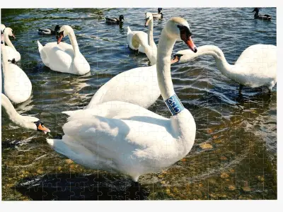 280-piece jigsaw puzzle 3D model