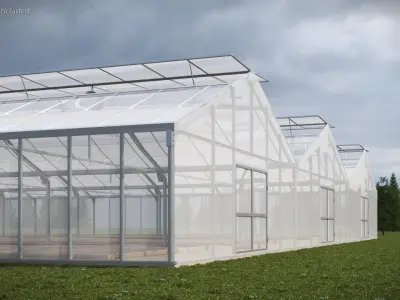 Multi-Span Greenhouse With Soil Beds 3D model