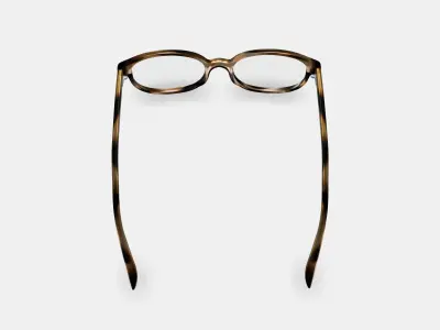Ira Eyeglasses in Striped Sassafras 3D model