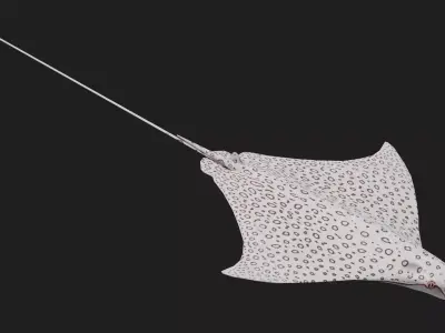 Devilfish Low-poly 3D model