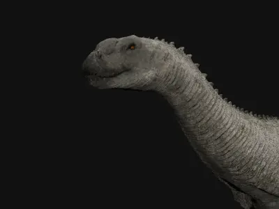 Shunosaurus Realistic 3D Model Low-poly 3D model