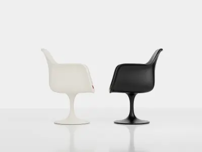 Tulip Armchair Free 3D model
