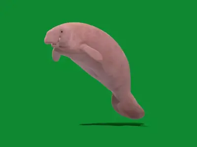 Manatee Free 3D model