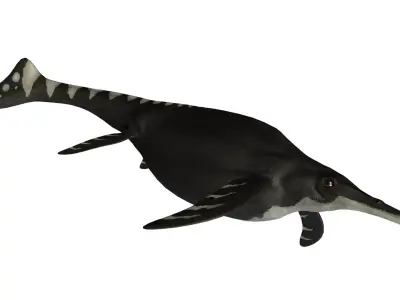 Shonisaurus Asset Pack Low-poly 3D model