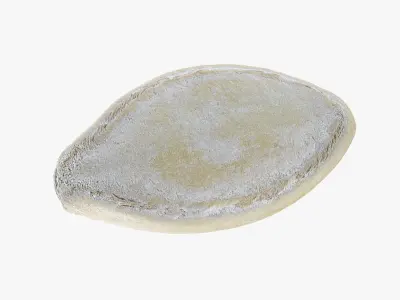 Pumpkin Seed 01 3D model