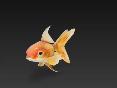 Goldfish 3D Model Basic - Low Poly Simple Low-poly 3D model
