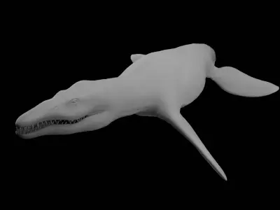 Rigged Liopleurodon 3D Model  Highly Detailed Clean Topology   3D model